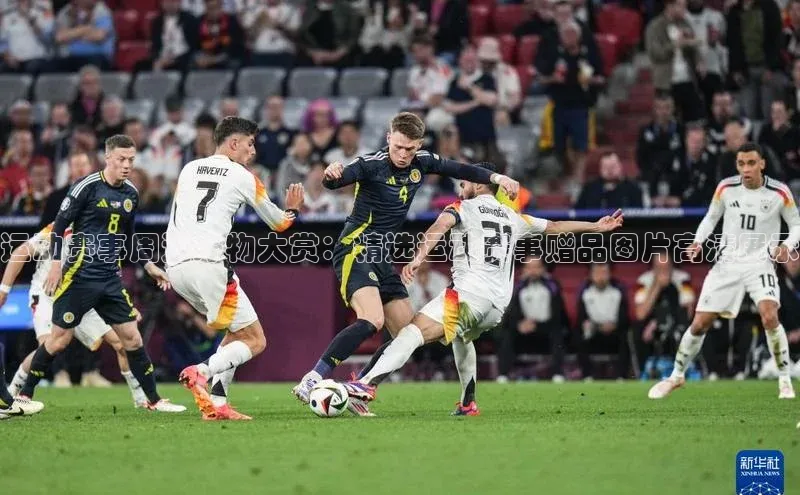 jinnian金年会登录入口