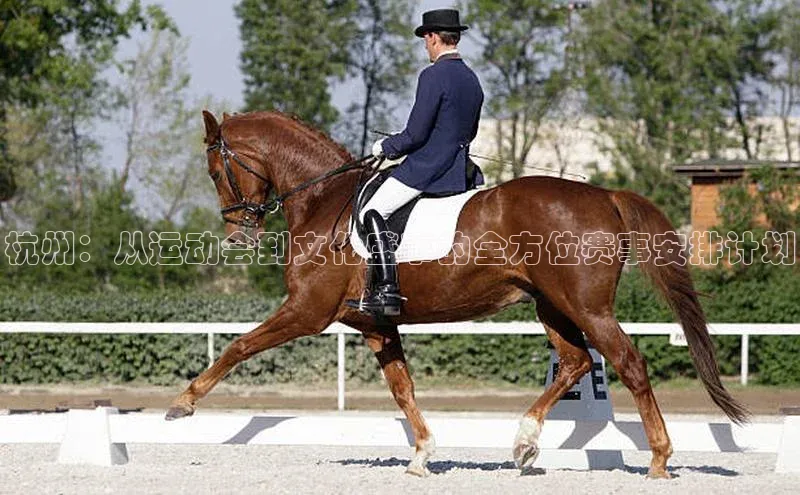 金年会 金字招牌诚信至上